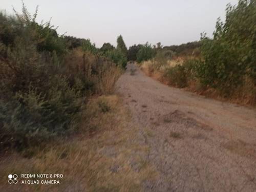 imagen 5 de Lote de 3 Fincas El Jaral