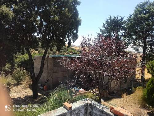 imagen 1 de Lote de 3 Fincas El Jaral