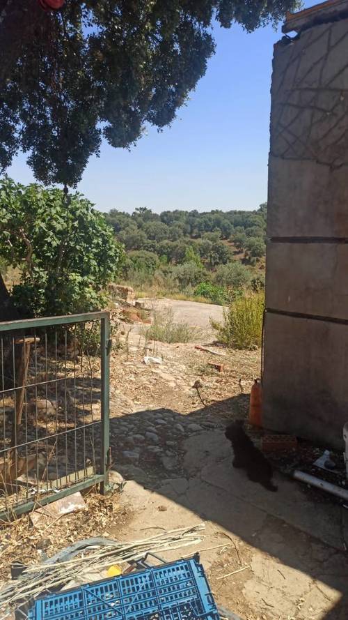 imagen 1 de Lote de 3 Fincas El Jaral