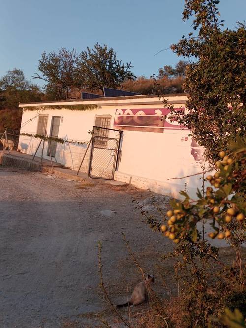 imagen 3 de Casa de 80m2 y 2,5 ha de olivar y frutales en producción ecológica
