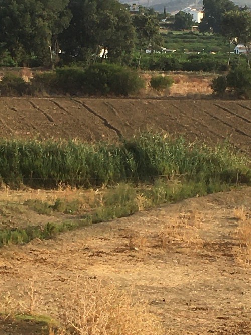 imagen 3 de Terreno buen situado en el valle Guadalhorce