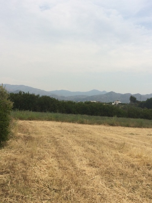 imagen 9 de Terreno buen situado en el valle Guadalhorce