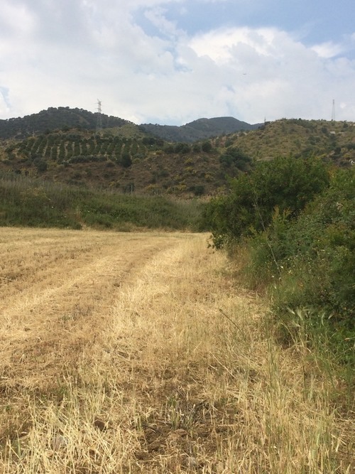 imagen 11 de Terreno buen situado en el valle Guadalhorce