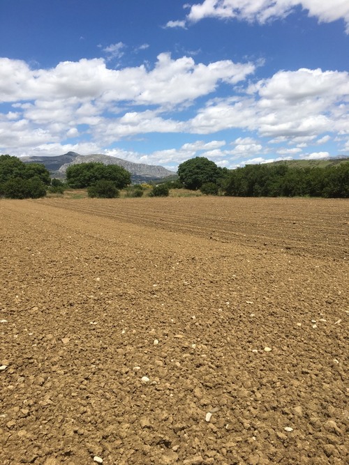 imagen 6 de Terreno buen situado en el valle Guadalhorce