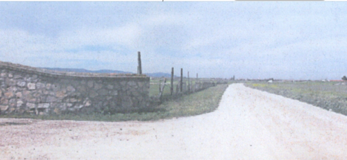 imagen 1 de tejera