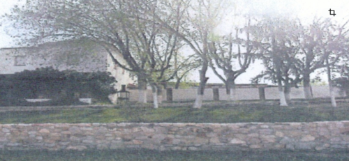 imagen 3 de tejera
