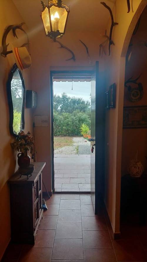 imagen 5 de FINCA RUSTICA 142HA