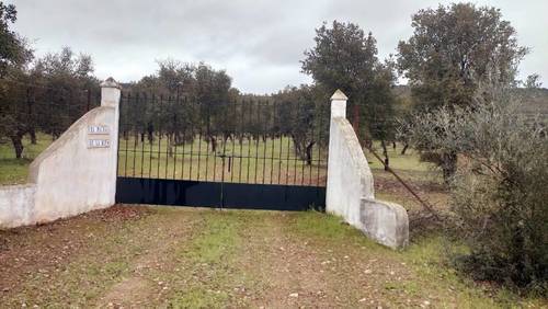 imagen 4 de FINCA RUSTICA 142HA