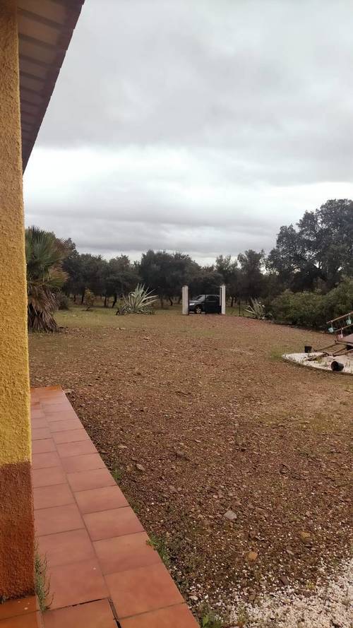 imagen 6 de FINCA RUSTICA 142HA