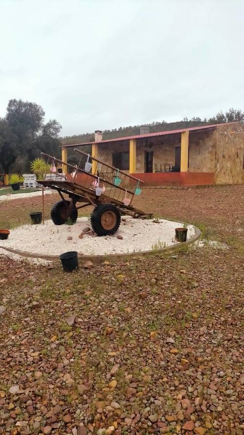imagen 11 de FINCA RUSTICA 142HA