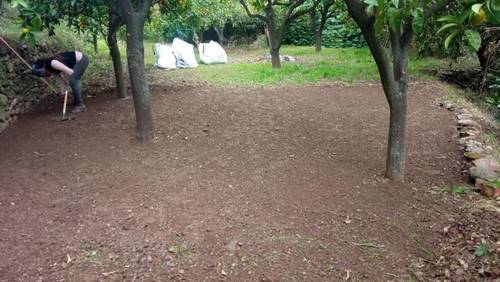 imagen 4 de Parcela urbana en parque nacional