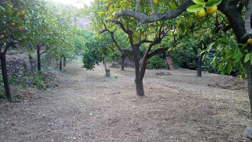imagen 2 de Parcela urbana en parque nacional