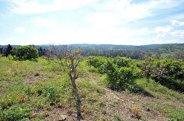 imagen 12 de Finca