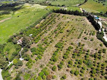 imagen 3 de Finca