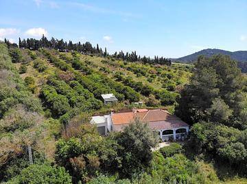 imagen 11 de Finca