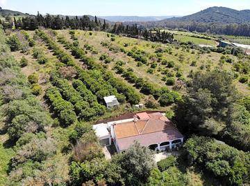 imagen 14 de Finca