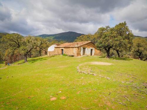 imagen 7 de Finca Dehesa