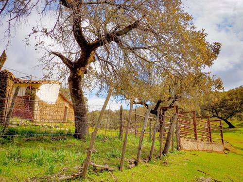 imagen 8 de Finca Dehesa