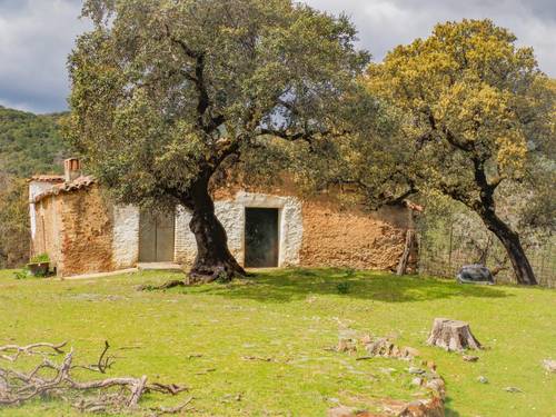 imagen 10 de Finca Dehesa