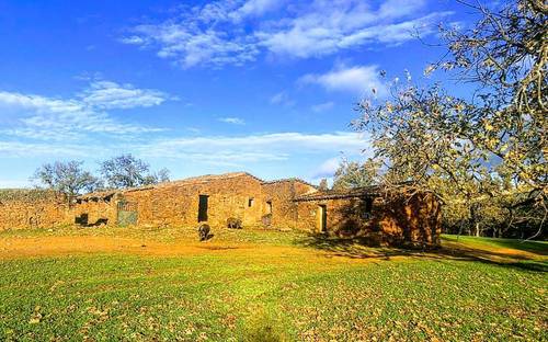 imagen 10 de Dehesa en la provincia de Cáceres de 150 hectáreas