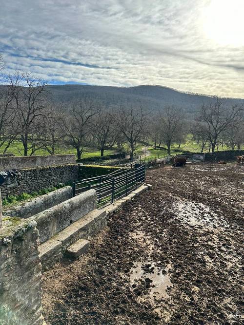 imagen 9 de Finca ganadera en el norte de Cáceres