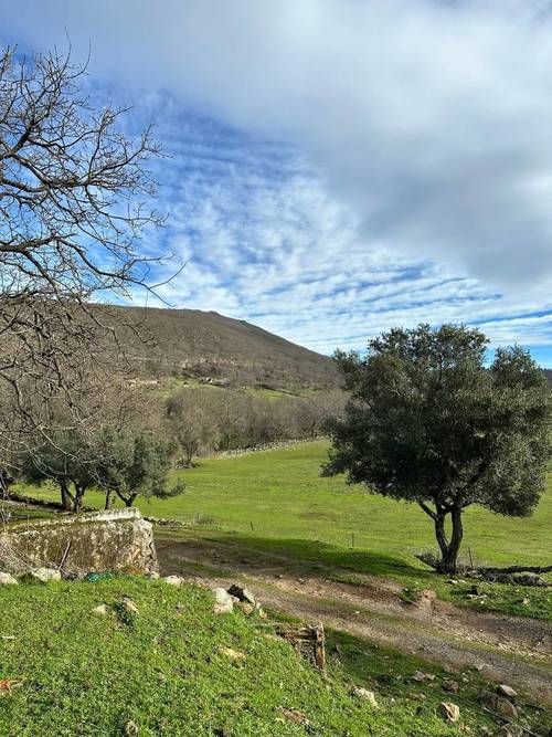 imagen 10 de Finca ganadera en el norte de Cáceres
