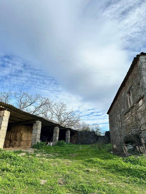 imagen 11 de Finca ganadera en el norte de Cáceres