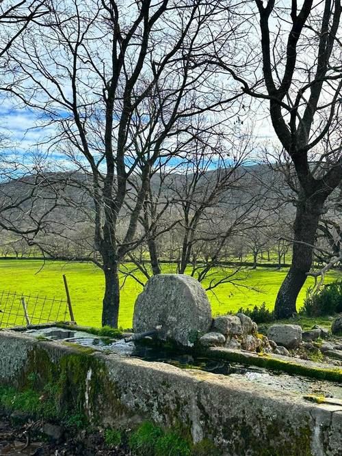 imagen 7 de Finca ganadera en el norte de Cáceres