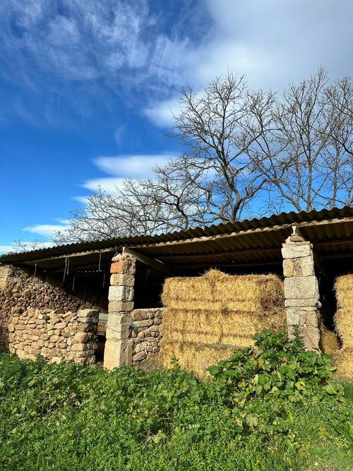 imagen 12 de Finca ganadera en el norte de Cáceres