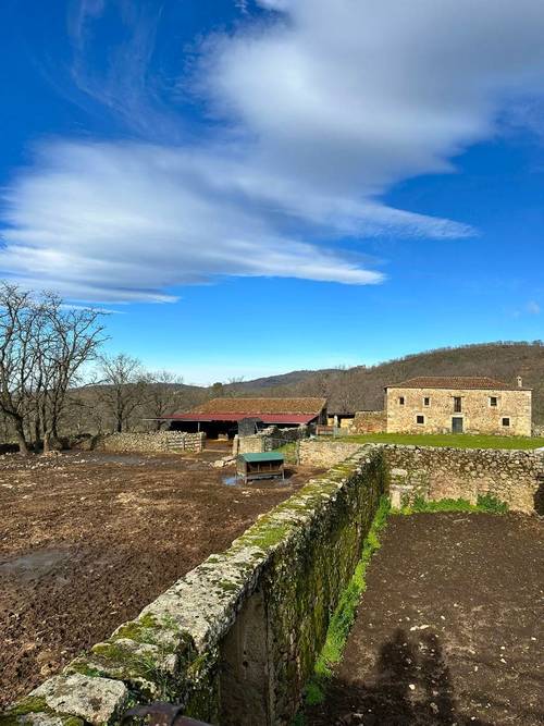 imagen 14 de Finca ganadera en el norte de Cáceres