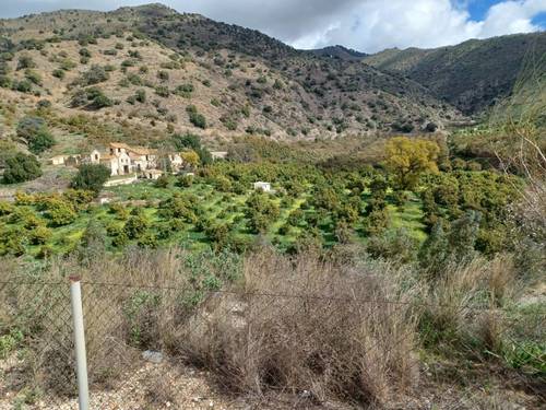 imagen 3 de Finca de aguacates