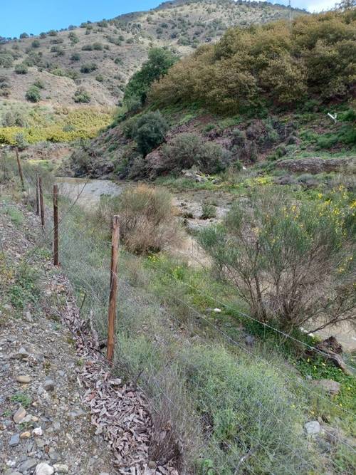 imagen 2 de Finca de aguacates