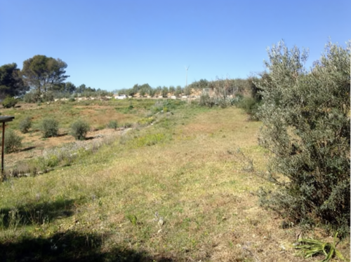 imagen 4 de Terreno en venta en Carretera Coín-Cártama