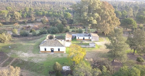 imagen 4 de Finca privada de 159 ha junto a Doñana -Almonte