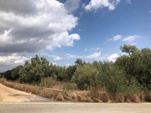 imagen 1 de Finca rústica en Tortosa ideal cultivo, recreo o inversión