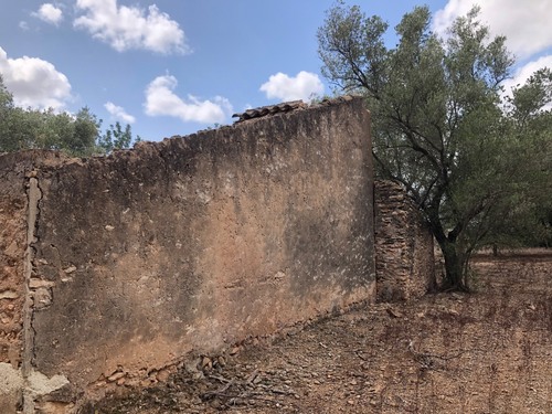 imagen 5 de Finca rústica en Tortosa ideal cultivo, recreo o inversión
