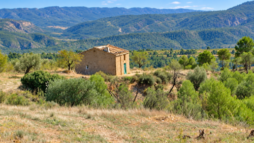 imagen 1 de Finca de 5,5 hectáreas con almendros, olivos y posibilidad de construir vivienda – 30.000 €