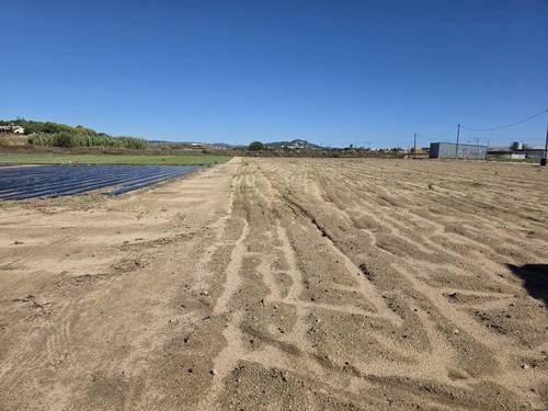 imagen 4 de Finca rústica en venda a Malgrat de Mar